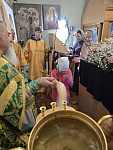 20250413_102807(0).jpg